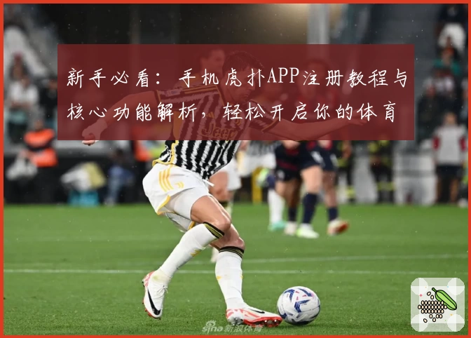 新手必看：手机虎扑APP注册教程与核心功能解析，轻松开启你的体育社区之旅