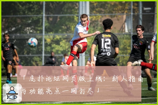 「虎扑论坛网页版上线：新人指南与功能亮点一网打尽」
