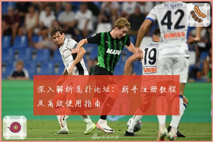 深入解析虎扑论坛：新手注册教程及高效使用指南