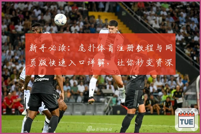 新手必读：虎扑体育注册教程与网页版快速入口详解，让你秒变资深玩家