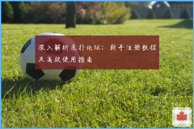 深入解析虎扑论坛：新手注册教程及高效使用指南